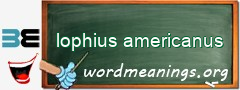 WordMeaning blackboard for lophius americanus